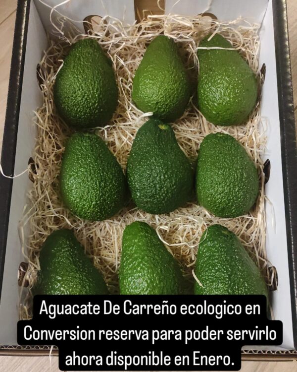 Aguacate en caja con un texto descriptivo