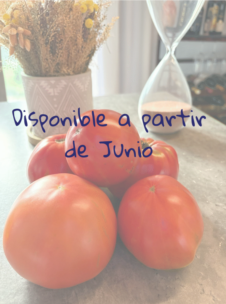 Tomate disponible a partir de Junio